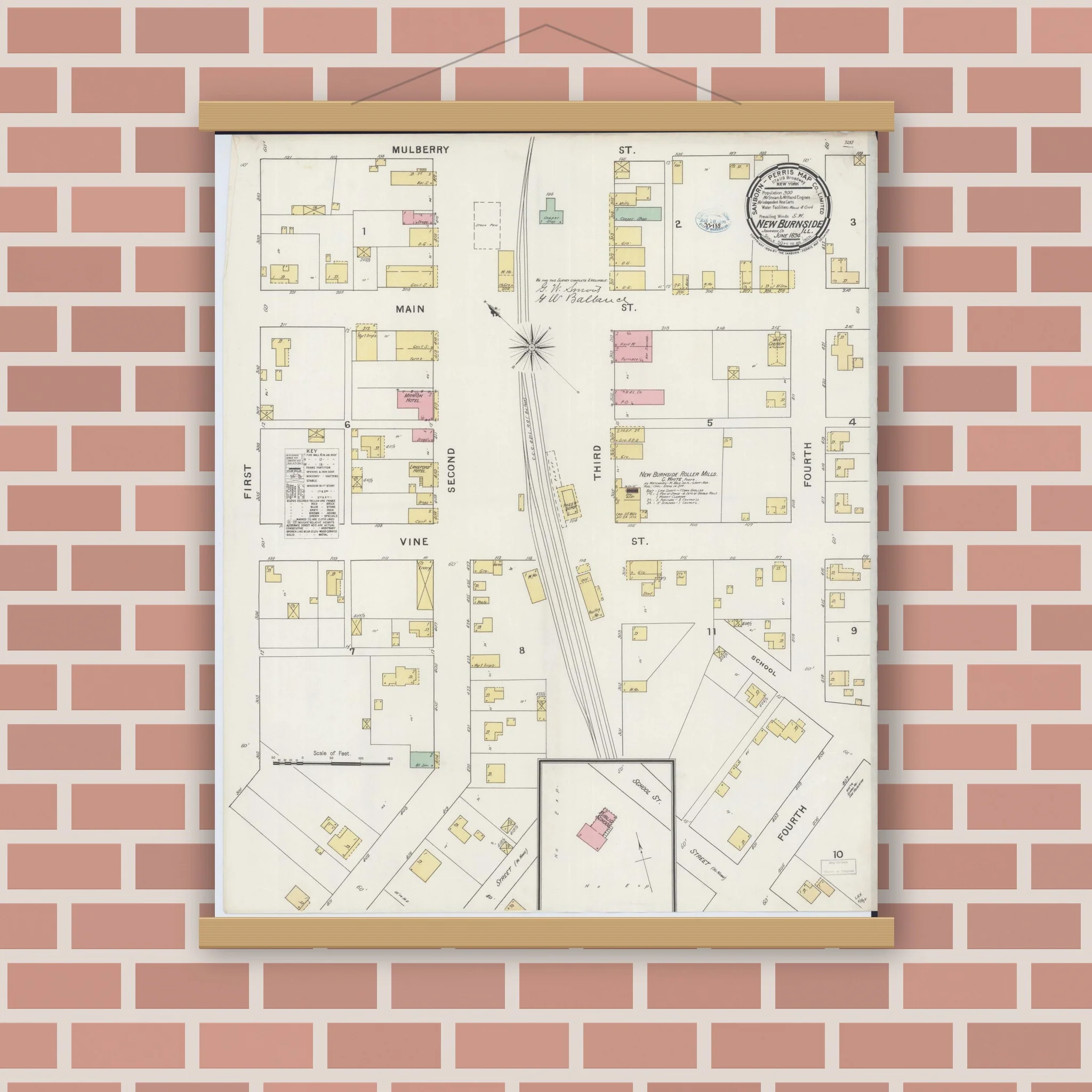 Sanborn Fire Insurance Map from New Burnside, Johnson County, Illinois (1894), Sheet #0001 - Image 3
