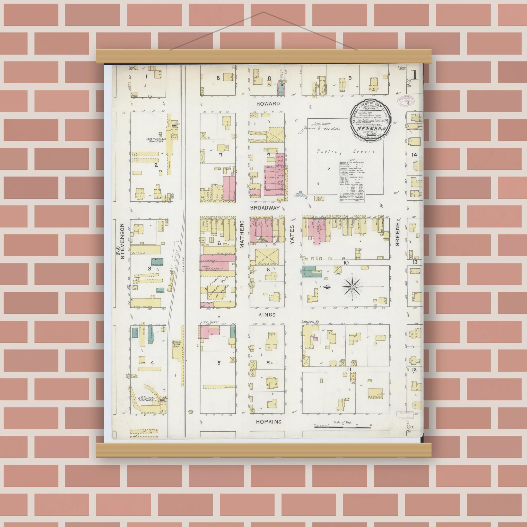 Sanborn Fire Insurance Map from Newman, Douglas County, Illinois (1893), Sheet #0001 - Image 3