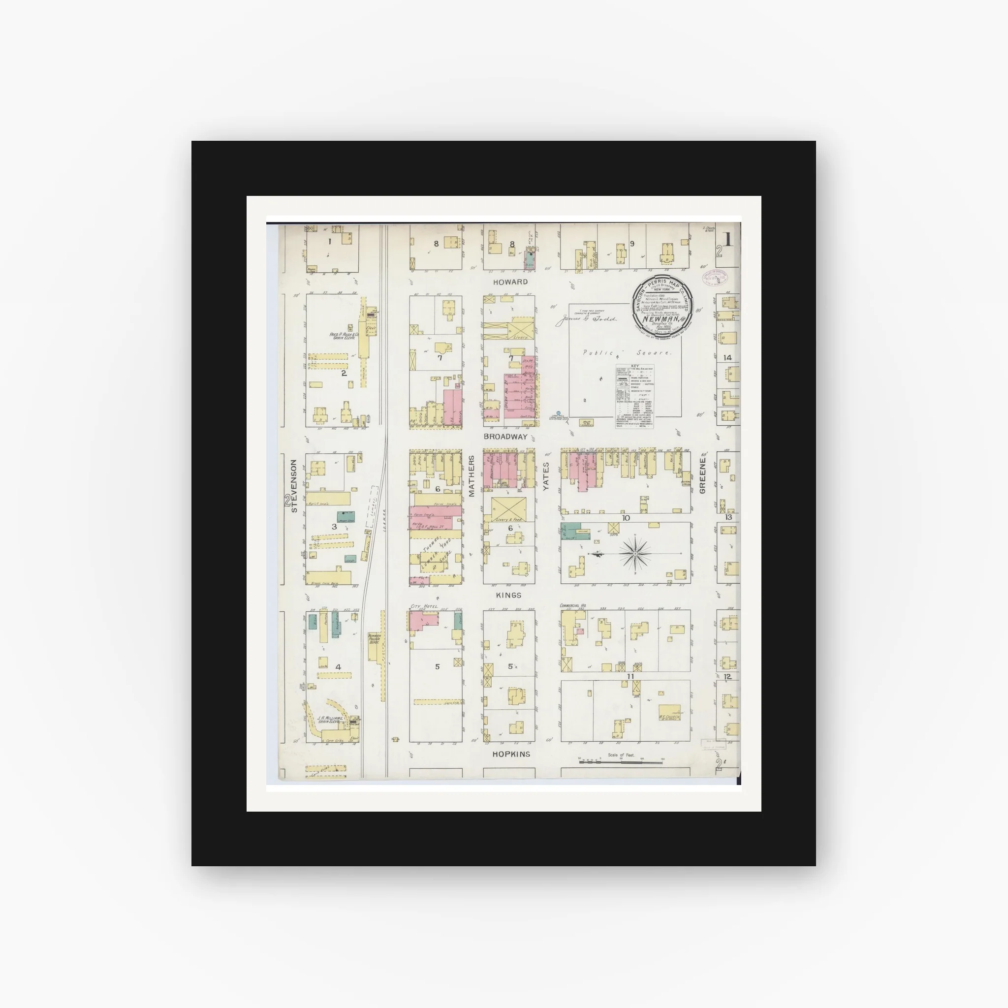 Sanborn Fire Insurance Map from Newman, Douglas County, Illinois (1893), Sheet #0001 - Image 4